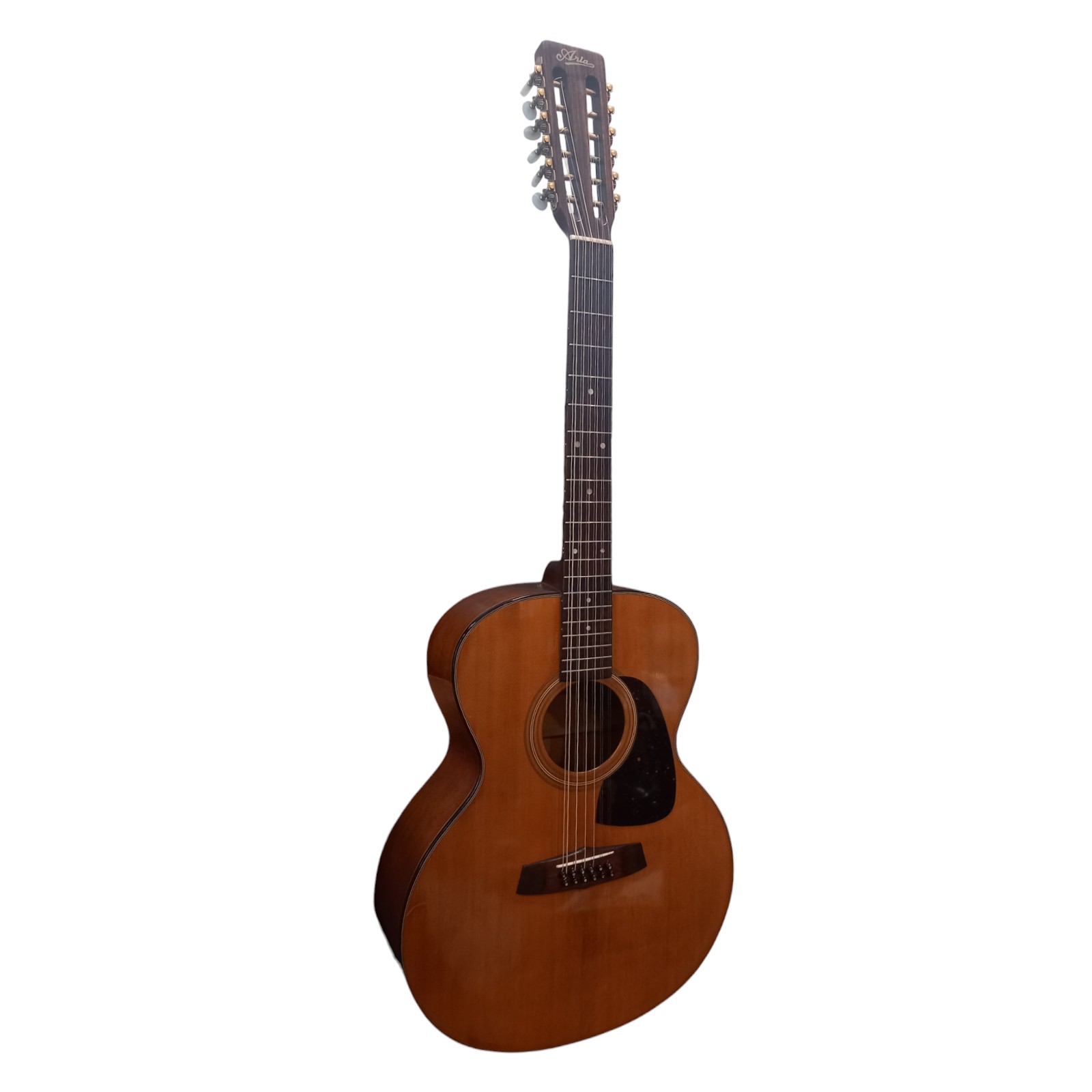Aria 12-saitige Westerngitarre B-Ware