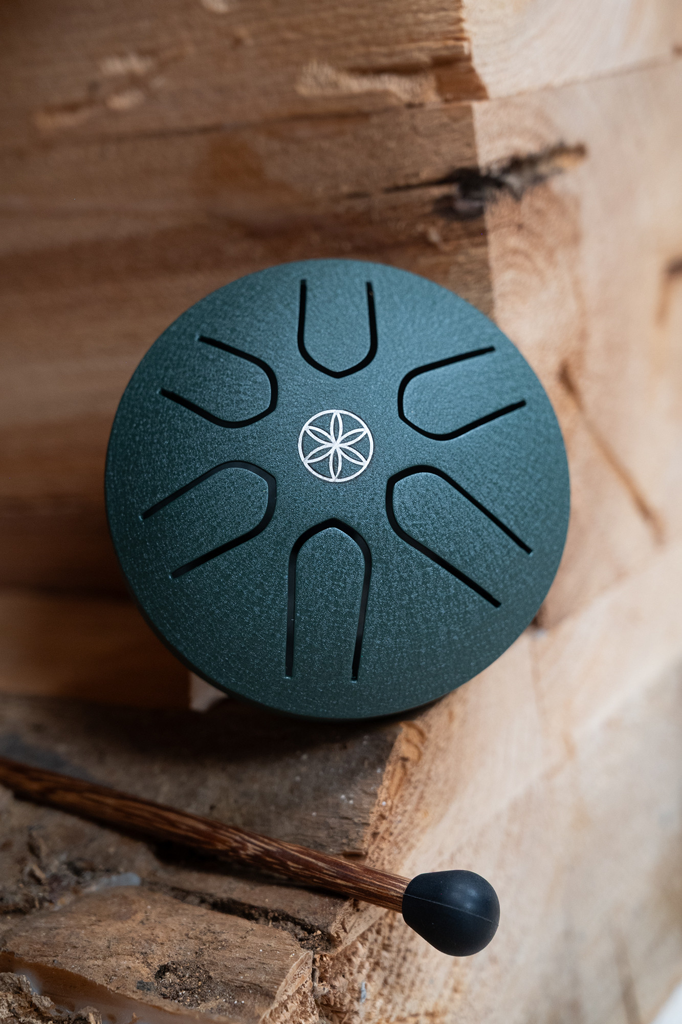 MEINL PSTD 4 DGGOL Pocket Steel Tongue Drum A-Dur dark green