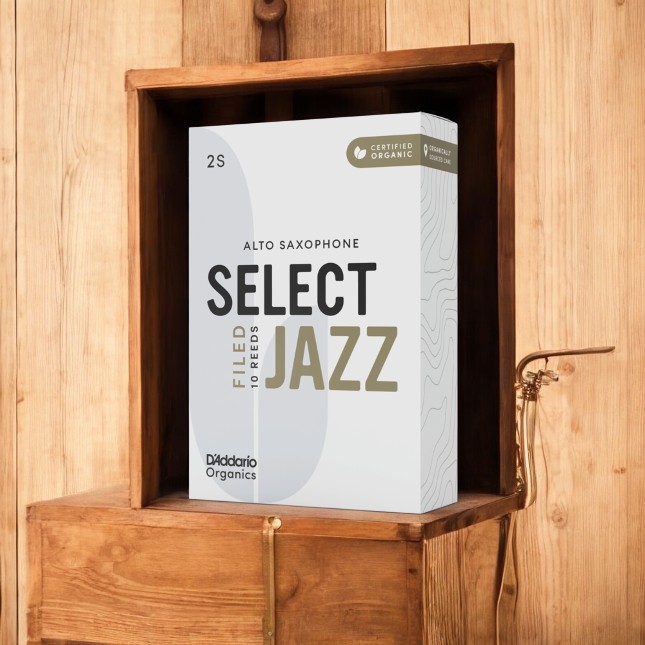 Daddario Select Jazz Filed Blatt für Alt Sax 2