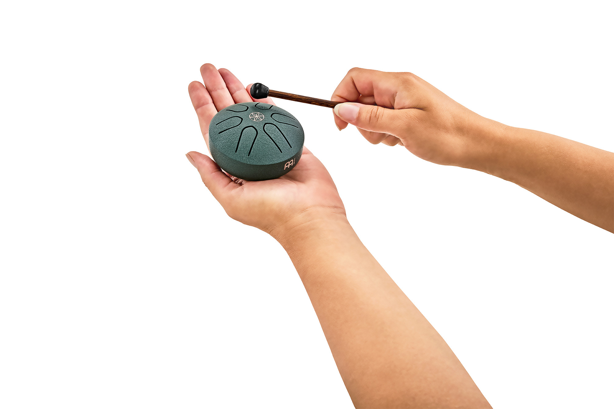 MEINL PSTD 4 DGGOL Pocket Steel Tongue Drum A-Dur dark green