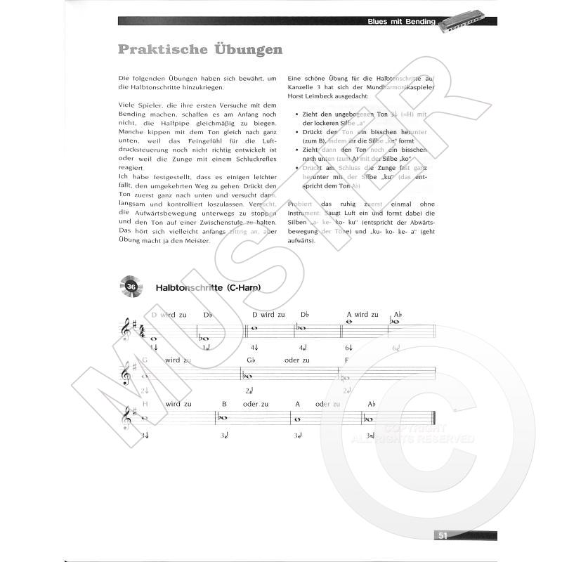 Blues Harp P. Letsch fr. Mundharmonika Inkl. Online Audio