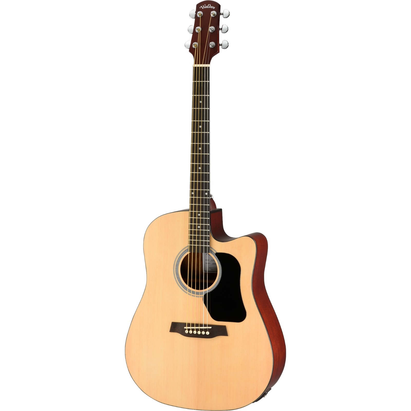 Walden D350CE-SW Westerngitarre, inkl. Gig Bag und Pickup